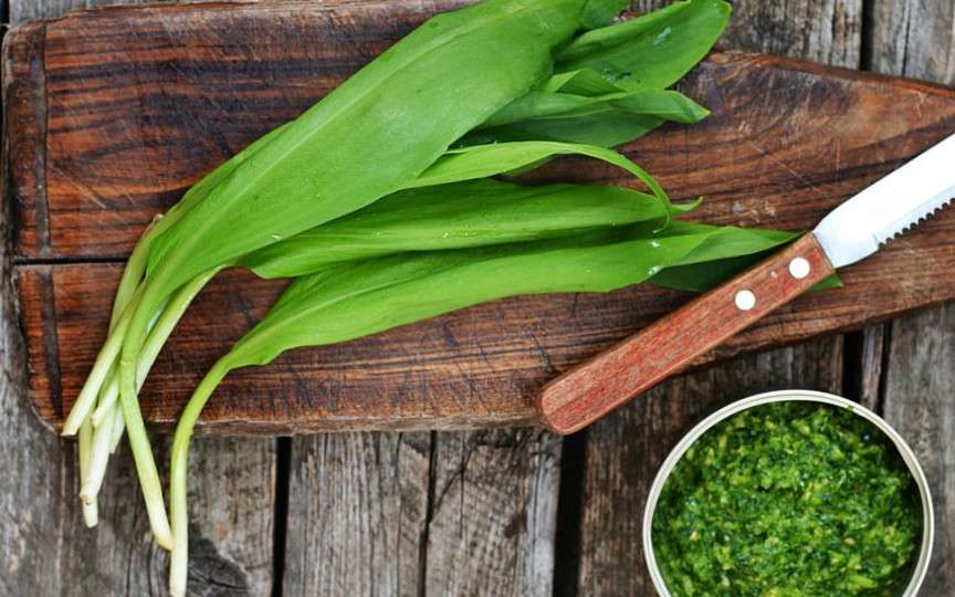 3 rețete delicioase de primăvară, cu leurdă