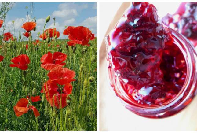 O rețetă foarte originală: Dulceață din flori de mac sălbatic