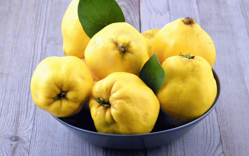 6 rețete delicioase cu GUTUI pentru o toamnă aromată