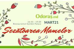 Ce vei afla nou de la Șezătoarea Mamelor din 21 martie