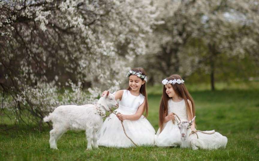 Activități de weekend, 8-9 aprilie 2017