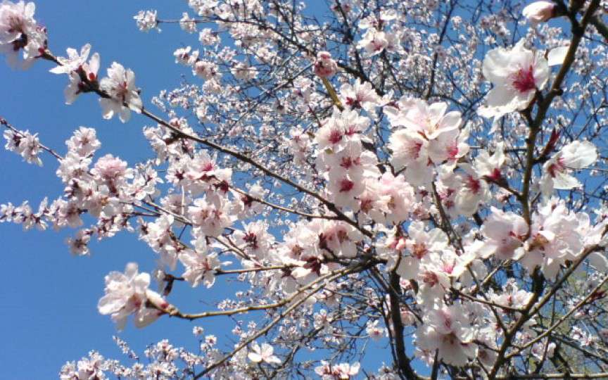 Activități de weekend, 14-15 aprilie 2018