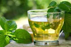 MENTA - remediu natural pentru întreaga familie