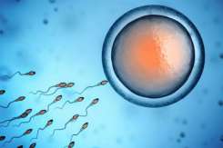 Care este perioada cea mai fertilă la o femeie și când ar trebui să ceară ajutor?