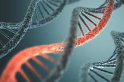 Cancere cu predispoziție genetică – ce trebuie să știi?