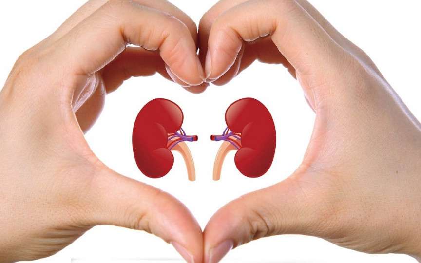 8 Semne de avertizare timpurie: Rinichii tăi nu funcționează așa cum ar trebui