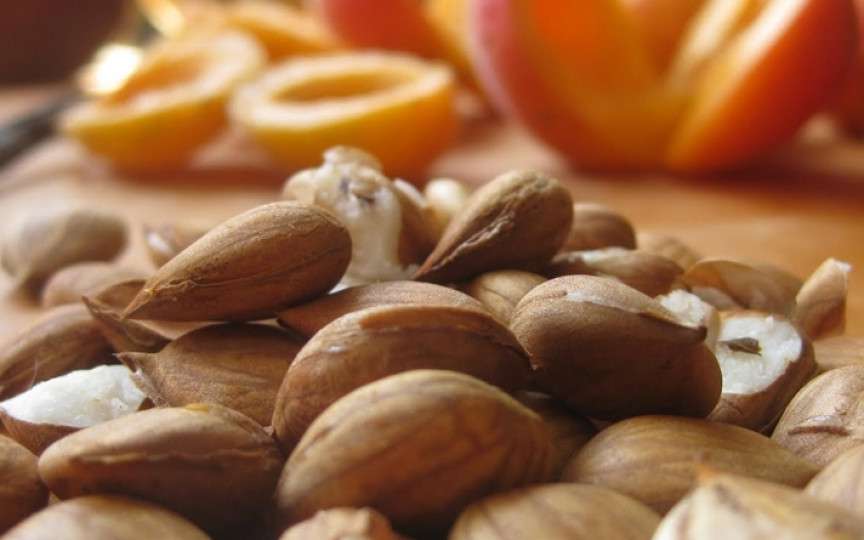Sâmburii de caisă, buni pentru sănătate. Beneficiile sunt nenumărate