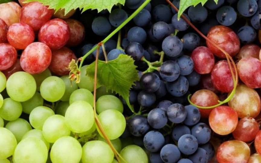 Strugurii, un adevărat elixir pentru sănătate. Ce conțin și ce boli țin la distanță