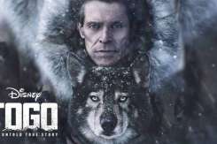 Un film despre cel mai eroic animal al tuturor timpurilor - Togo