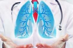 Top 9 plante care susțin sănătatea plămânilor