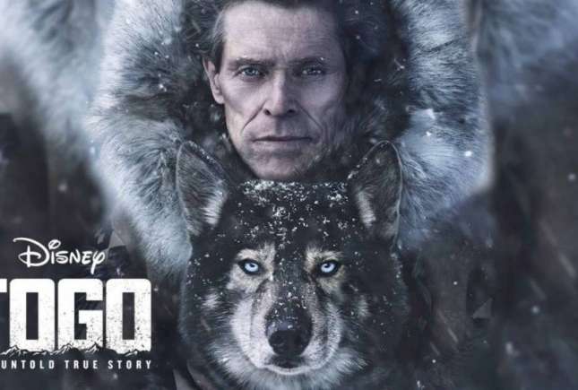 Un film despre cel mai eroic animal al tuturor timpurilor - Togo