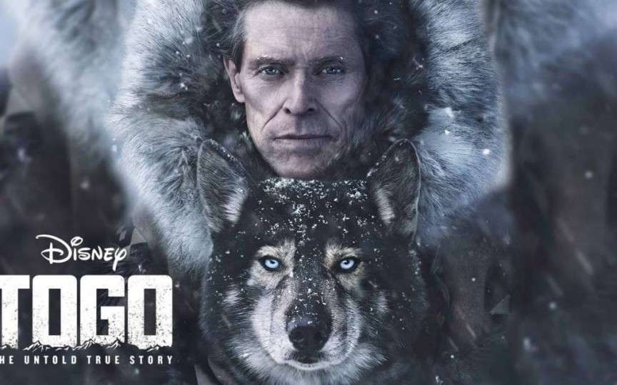 Un film despre cel mai eroic animal al tuturor timpurilor - Togo
