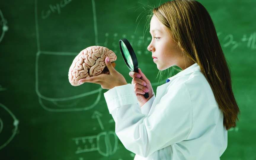 Top 7 alimentele care stimulează dezvoltarea creierului la copil