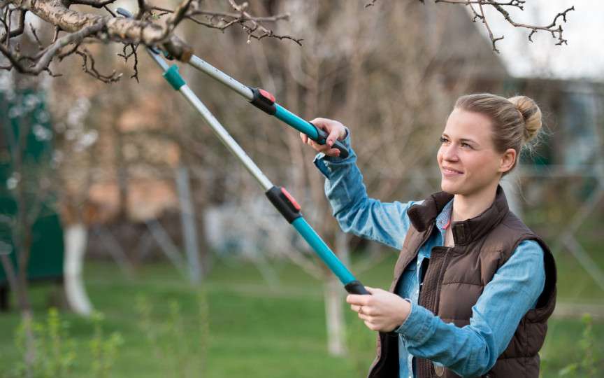 Ce să faci în luna martie pentru o primăvară perfectă