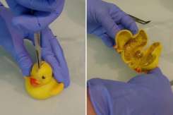 Pericolul răţuştelor de plastic din baie