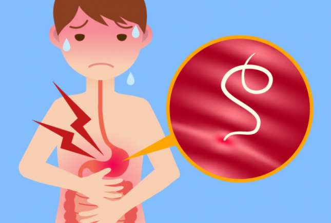 Medic gastroenterolog despre paraziții la copii: Viermii adulți, care se reproduc, pot depăși 30 cm lungime