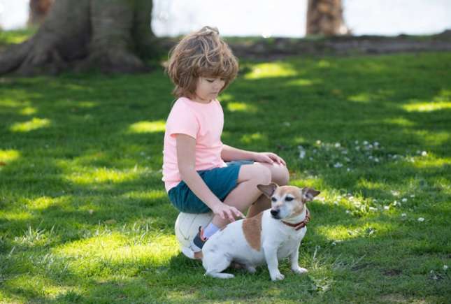 Viermii paraziți din parcuri pun în pericol copiii și animalele de companie