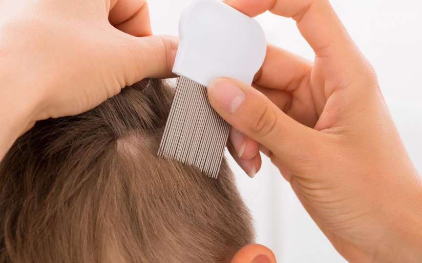 Medic pediatru despre cum prevenim și tratăm păduchii la copii