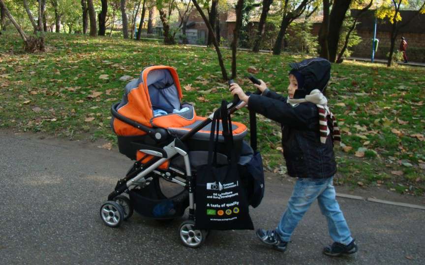 Sfaturi utile privind alegerea căruciorului pentru copil