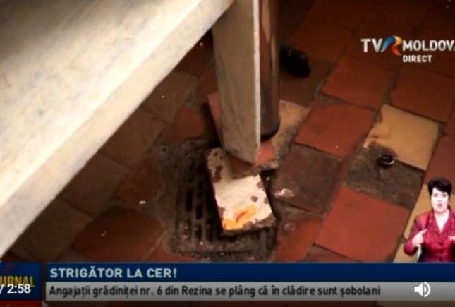 Condiții oribile într-o grădiniță din țară: șobolani prin sălile de curs, iar bucătăresele s-au electrocutat