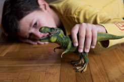 Studiu: Copiii interesați de dinozauri pot avea un nivel superior de inteligență
