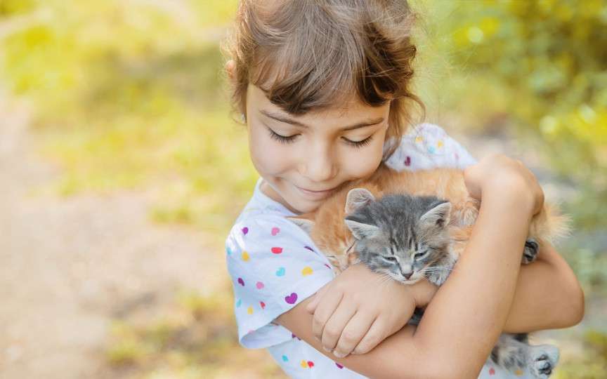 Cum să-i explici copilului că animalele de companie nu sunt jucării