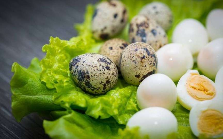 Beneficiile incontestabile pentru sănătate ale oului de prepeliță