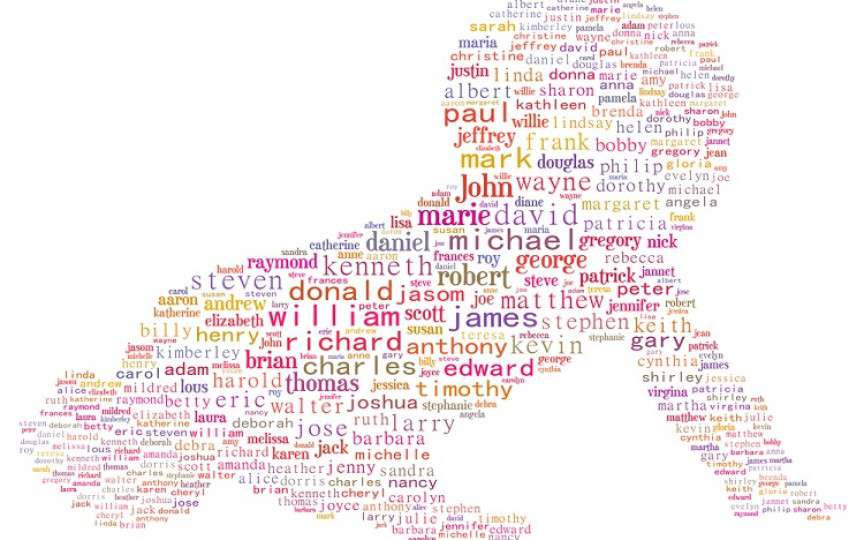 Ce nume de copii sunt în tendințe în anul 2016