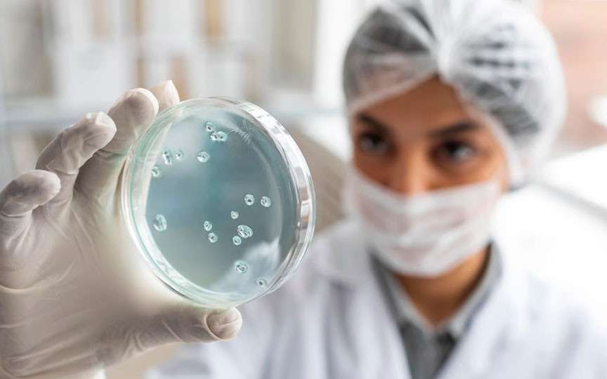 E. coli și alăptarea: Ce trebuie să știe mamele despre riscuri