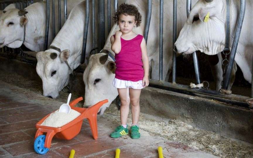 Cum arată jucăriile copiilor bogați și săraci din diferite țări. Un proiect foto inedit!