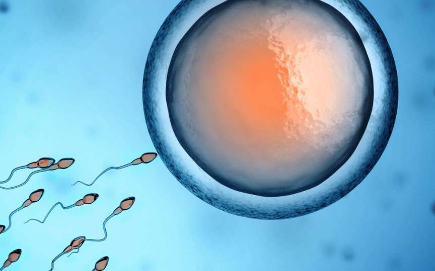 Riscurile pe care le poartă o procedură de fertilizare in vitro