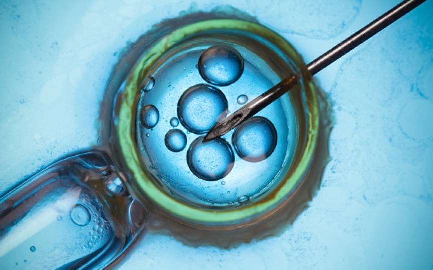 Fertilizarea in vitro (FIV): scop, rata de succes, stadii