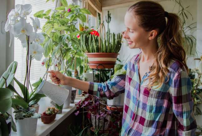 Este bine să uzi florile cu apă caldă? Află răspunsul de la un expert