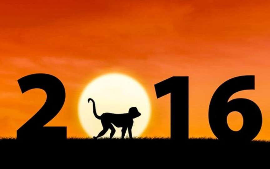 Ce spune anul Maimuței despre copiii născuți în 2016
