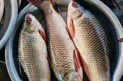 (Video) Ghid pentru cumpărarea peștelui în siguranță: recomandările ANSA pentru consumatori