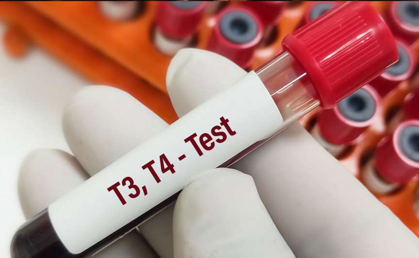 Glanda tiroidă: când și cum trebuie verificată pentru a preveni problemele hormonale