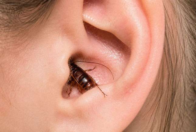 O insectă a intrat în ureche: ce poți face acasă și când mergi la medicul ORL